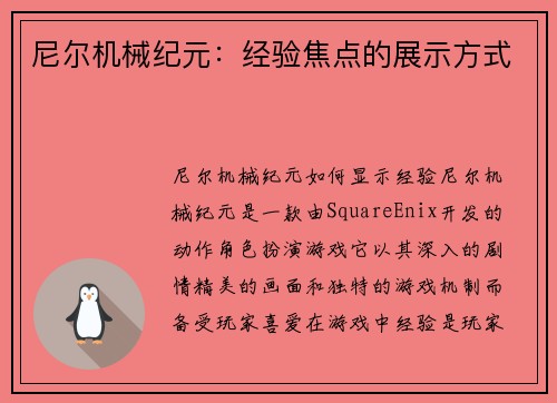 尼尔机械纪元：经验焦点的展示方式